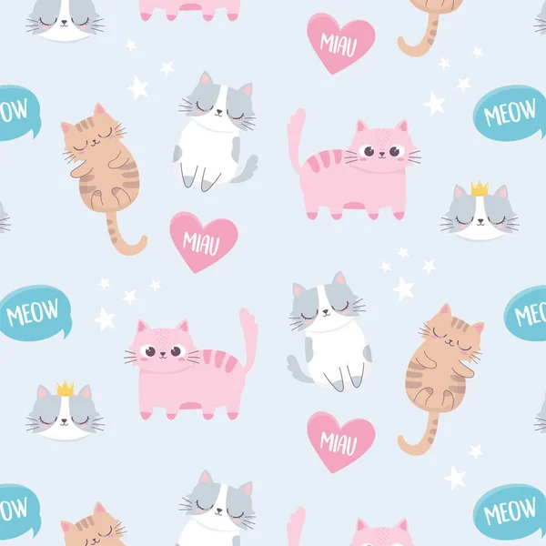 Lindo gatos meow amor mascotas dibujos animados animal divertido carácter fondo — Archivo Imágenes Vectoriales