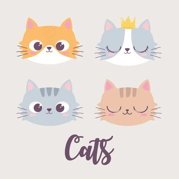 Cute cats faces cartoon animal funny character — Stock Vector