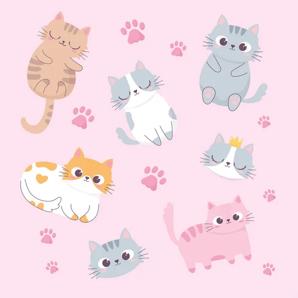 Bonito gatos adoráveis rostos patas cartoon animal engraçado personagem fundo —  Vetores de Stock