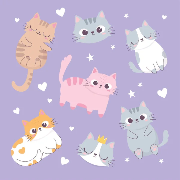 Bonito gatos amor corações cabeças cartoon animal engraçado personagem fundo — Vetor de Stock