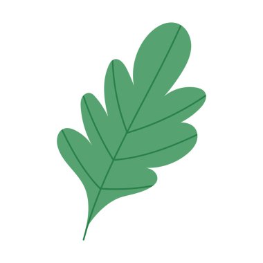 Yeşil yapraklı bitki örtüsü. Botanik izole edilmiş ikon tasarımı.