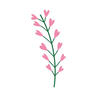 dal çiçekleri bitki örtüsü doğa izole tasarım simgesi