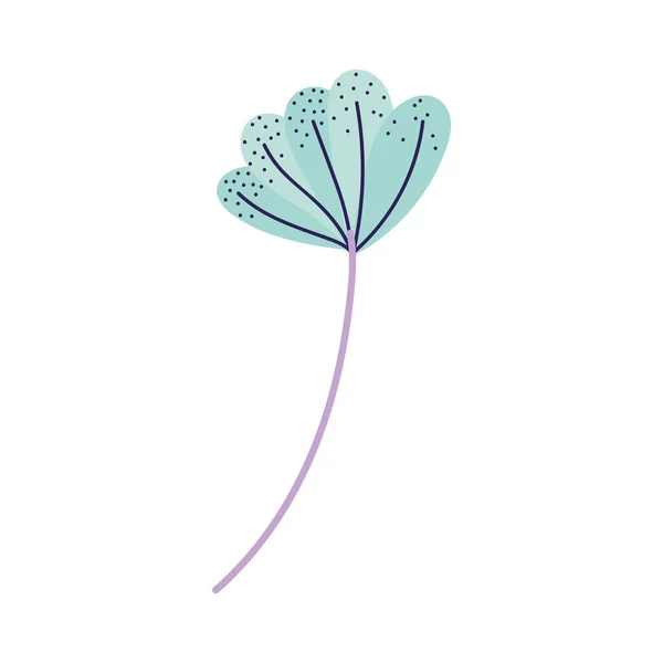 Декоративный цветок нежная природа изолированный икона дизайна — стоковый вектор