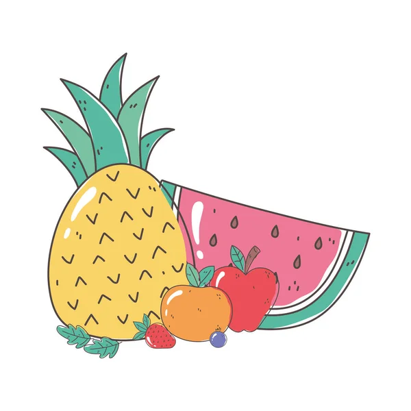 Ananas pastèque orange fruits bio alimentation saine naturel — Image vectorielle