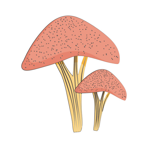 mushroom fresh nutrition healthy food isolated icon design