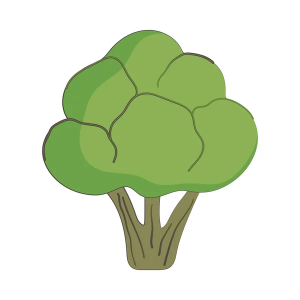 Brócoli vegetal fresca nutrición alimentos sanos aislados icono de diseño — Vector de stock