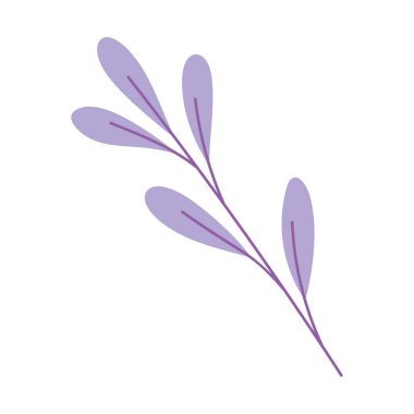 Yaprak yaprakları doğa izole edilmiş simge tasarımı beyaz arkaplan