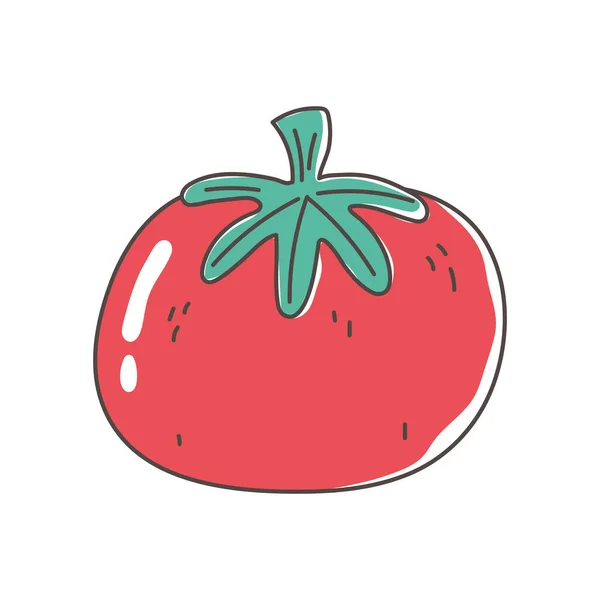 Pomidor organiczne warzywa świeże odżywianie zdrowa żywność odizolowany projekt ikony — Wektor stockowy