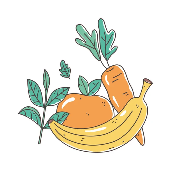 Laranja banana e cenoura fresco orgânico saudável alimento isolado design — Vetor de Stock