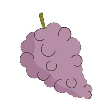 Üzümler taze besin sağlıklı yiyecek izole edilmiş ikon tasarımı