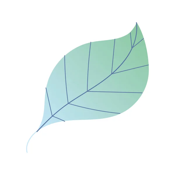 叶绿素自然植物隔离图标设计白色背景 — 图库矢量图片