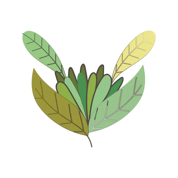 Leaves nature foliage greenery botanical isolated icon design — Stock Vector