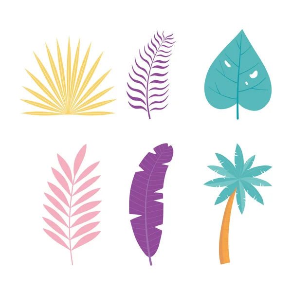 Hojas de palmera tropical follaje botánico iconos — Vector de stock