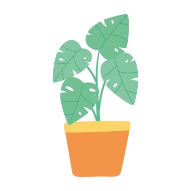 saksı bitkisi iç dekorasyonu bahçe ikonu beyaz arkaplan