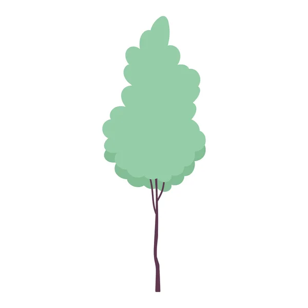 Albero vegetazione fogliame foresta isolato icona disegno bianco sfondo — Vettoriale Stock