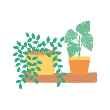 raf izole edilmiş simge beyaz arka planda saksı bitkileri dekorasyonu