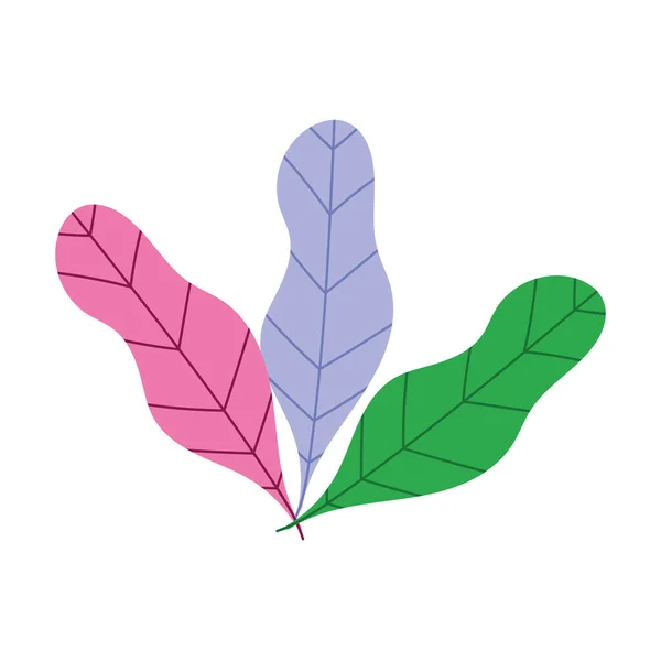 Leaves foliage nature botanical isolated icon design white background — Stock Vector
