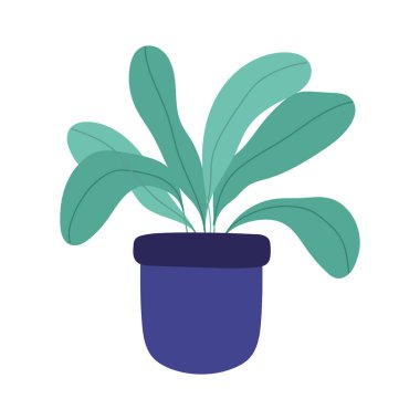 saksı bitkisi iç dekorasyonu bahçe ikonu beyaz arkaplan