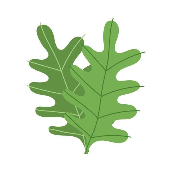 Hojas decoración follaje botánico diseño icono aislado — Vector de stock