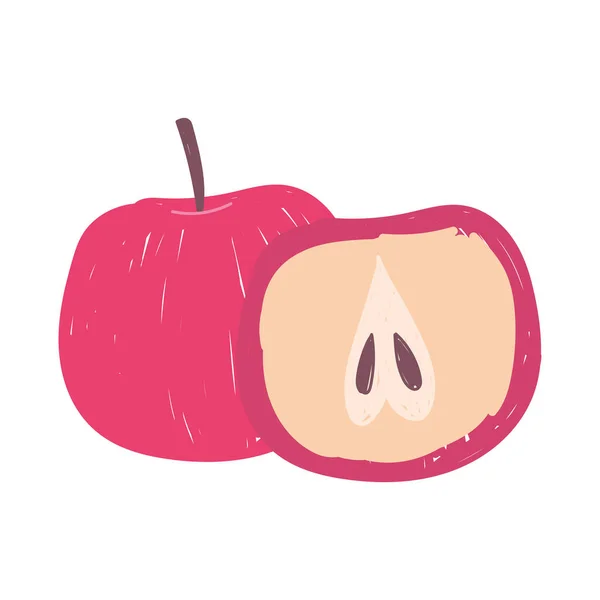 Skiva och hela äpple frukt isolerad ikon design vit bakgrund — Stock vektor