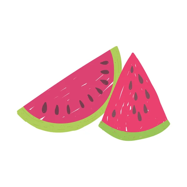 Rodajas de fruta watemelon alimento fresco nutrición aislado icono diseño fondo blanco — Vector de stock