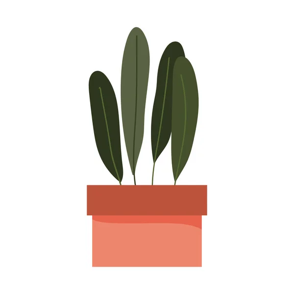 Potplanten gebladerte decoratie interieur geïsoleerd ontwerp pictogram witte achtergrond — Stockvector