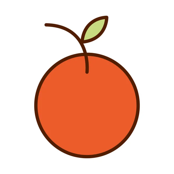 Zdrowej żywności świeżych owoców pomarańczowy linii produktów i wypełnić ikonę stylu — Wektor stockowy