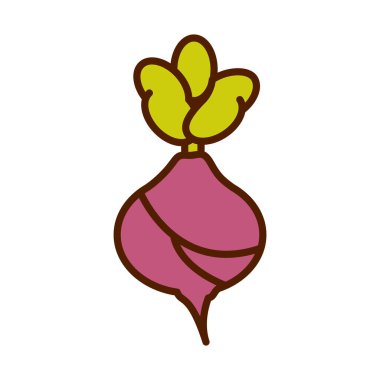 sağlıklı yiyecek taze sebze pancarı ham malzeme hattı ve stil ikonu