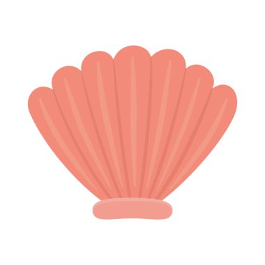 deniz kabuğu tropikal doğal izole tasarım simgesi