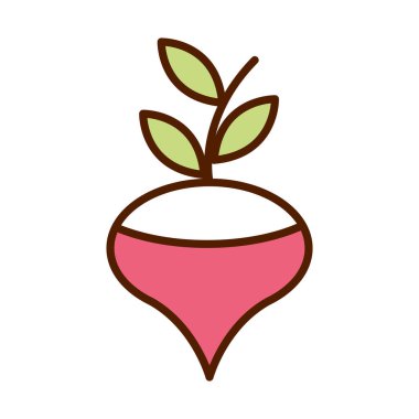 sağlıklı yiyecek taze sebze, çiğ turp malzemesi ve doldurma ikonu