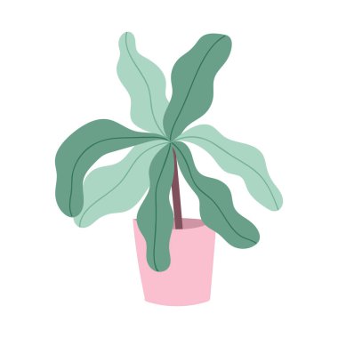 saksı bitkisi dekorasyonu izole tasarım simgesi beyaz arkaplan bırakır