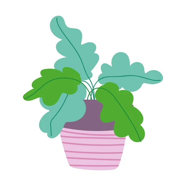 Macetas decoración de plantas hojas diseño aislado icono fondo blanco — Vector de stock