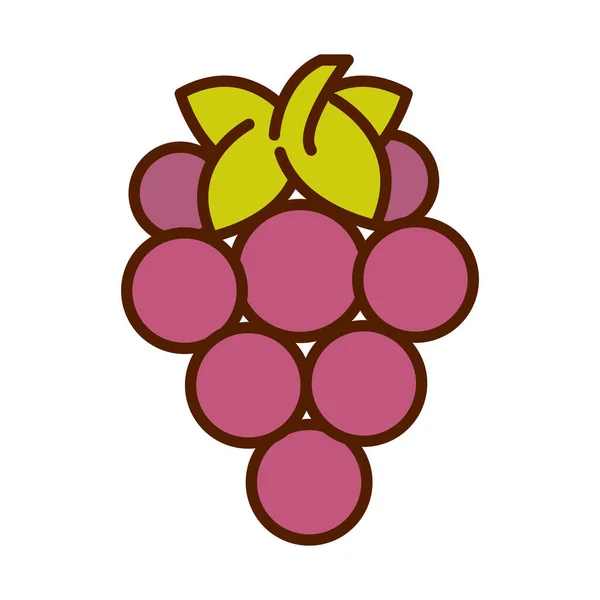 Linea di uva di grappolo di frutta fresca cibo sano e riempire l'icona di stile — Vettoriale Stock