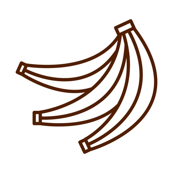 Zdravé jídlo čerstvé ovoce tropické banány produktové řady ikona — Stockový vektor