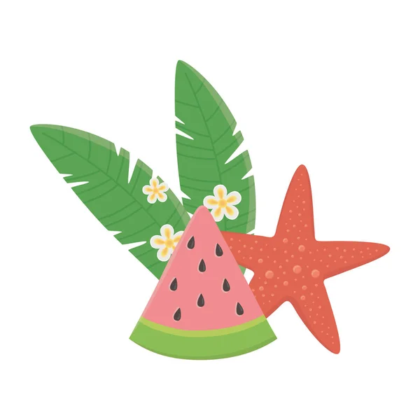 Summer travel and vacation beach watermelon starfish flowers and leaves isolated design icon — Stock Vector