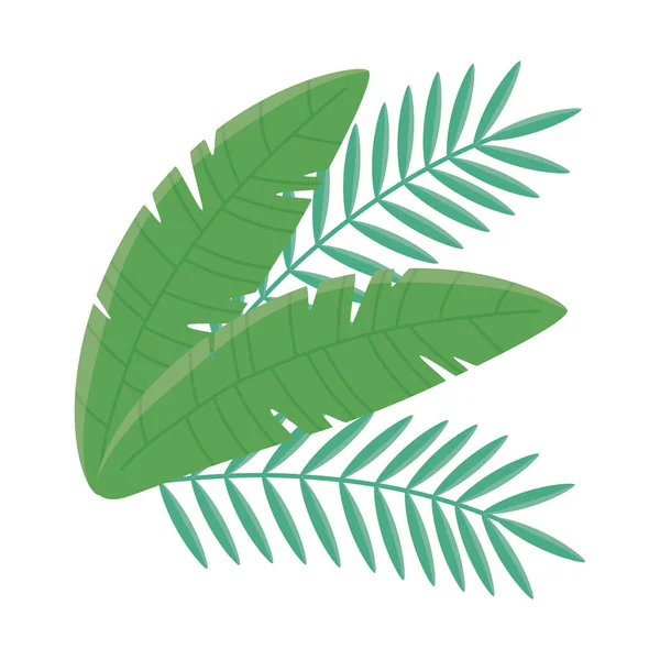棕榈叶叶绿叶自然植物隔离设计图标 — 图库矢量图片