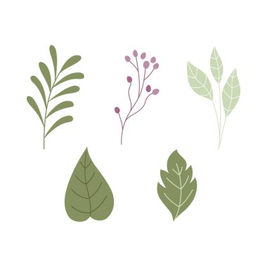 Bitki örtüsü yaprakları doğanın simgeleri.