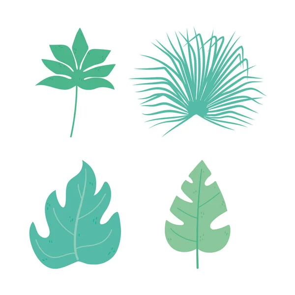 Farklı tropikal yapraklar botanik doğası dekoratif ikonlar izole tasarım — Stok Vektör
