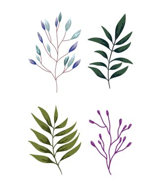 dallar yeşillik bitki tasarımı