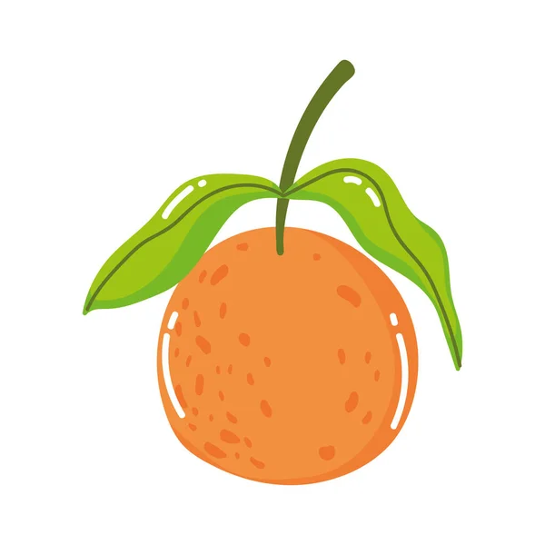 Zitrusfrüchte Orange frisch Cartoon isoliert Design-Ikone — Stockvektor