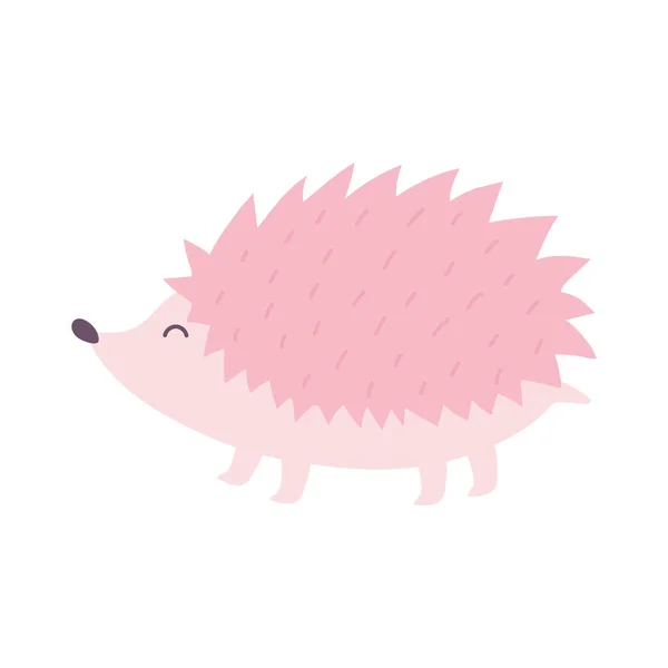 Roztomilý růžový ježek zvíře kreslený izolovaný design ikona — Stockový vektor