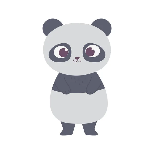 Słodkie mało panda zwierzę kreskówka izolowane projekt ikona — Wektor stockowy