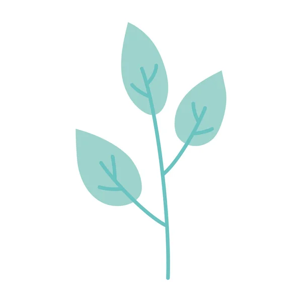 Branche feuillage nature décoration dessin animé isolé icône conception — Image vectorielle