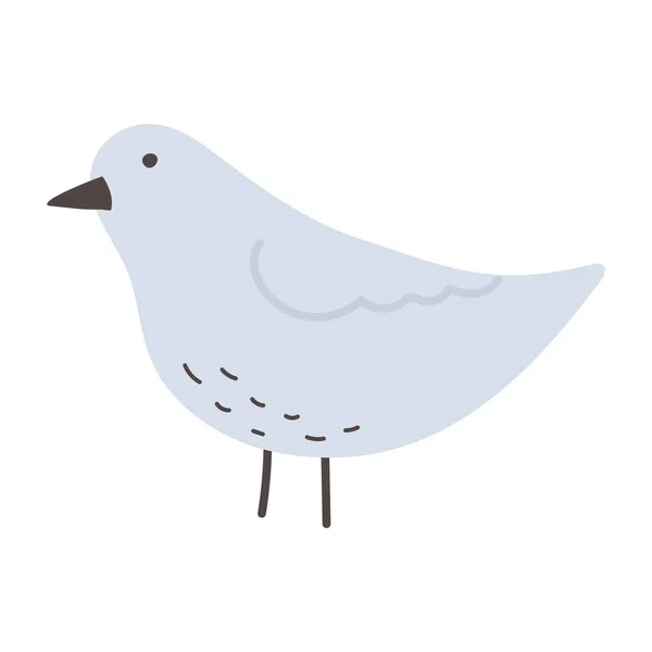 Ikon desain kartun burung merpati yang terisolasi - Stok Vektor