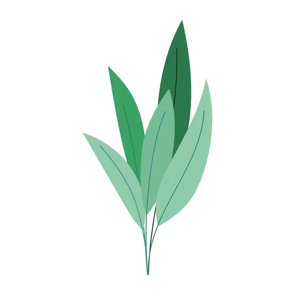 Listoví listy botanické izolované ikony design — Stockový vektor