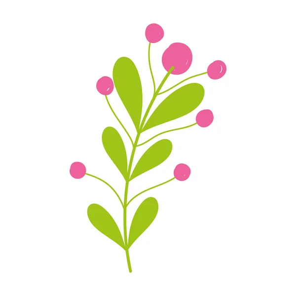 Rama hojas follaje bayas botánica dibujos animados aislado icono de diseño — Vector de stock