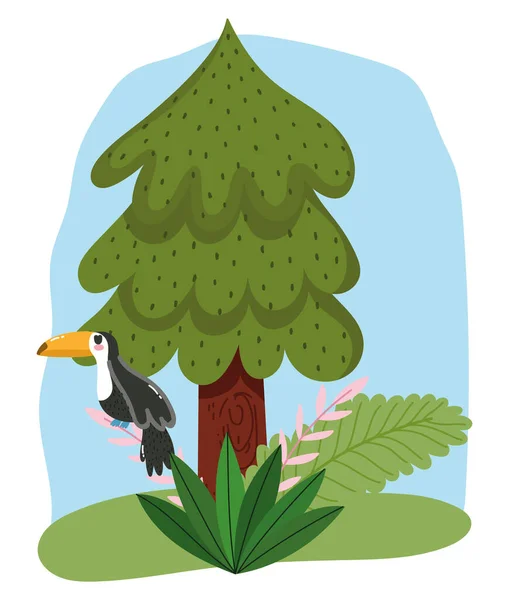 Bonito animal pássaro tucano no ramo folhagem árvore desenho animado design — Vetor de Stock