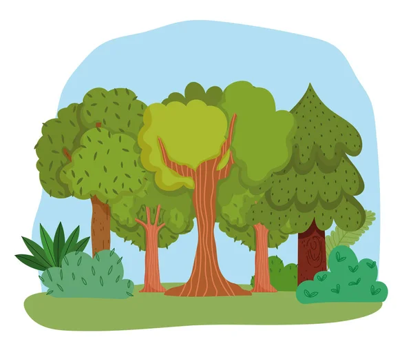Bosque árboles arbustos hierba hojas follaje vegetación dibujos animados diseño — Vector de stock
