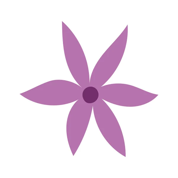 Blumen Blütenblatt Natur Dekoration isoliert Symbol Design weiß Hintergrund — Stockvektor