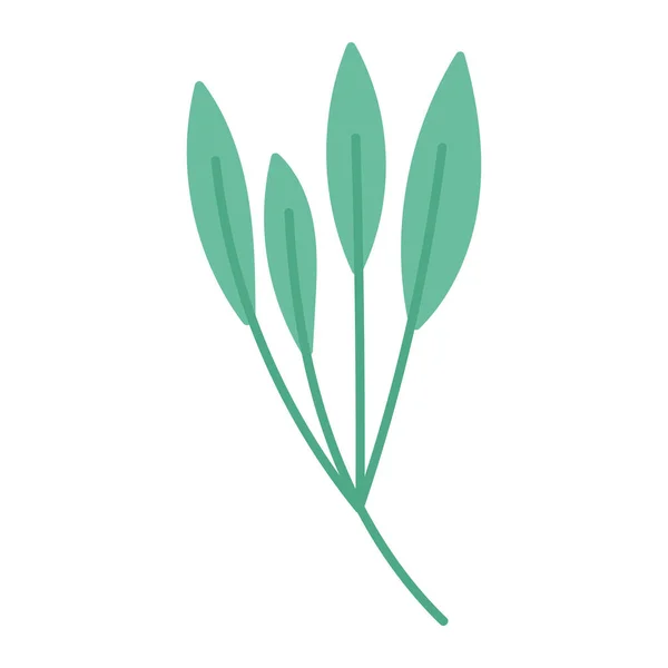Verde rama hojas follaje planta aislado icono diseño blanco fondo — Archivo Imágenes Vectoriales
